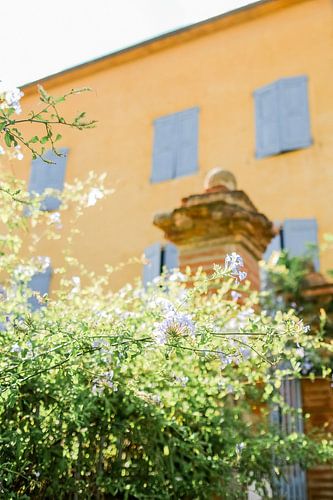 Mediterraner Garten im Sonnenlicht