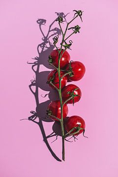 Tomatoes van Shahbana Khan