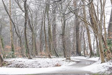 König Winter ging kurz vorbei von Margreet Piek