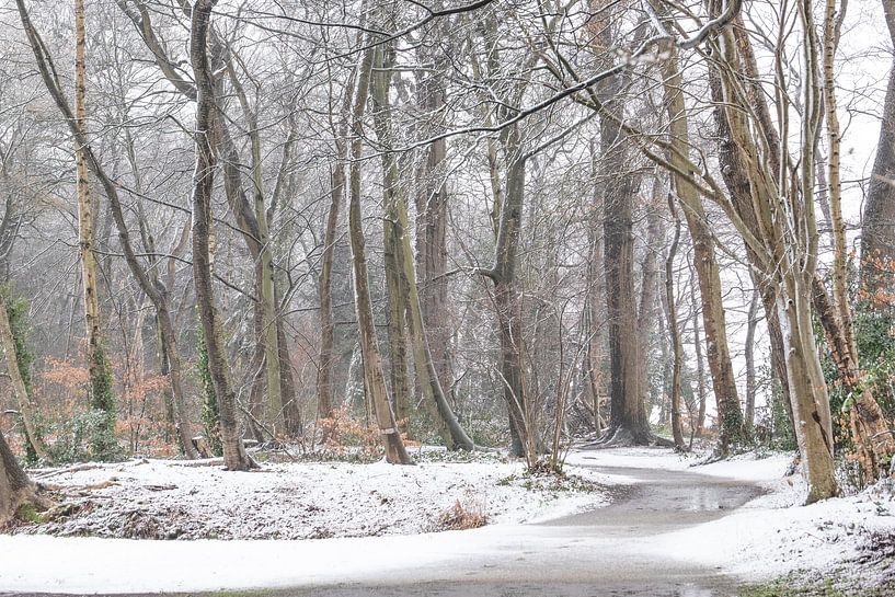 L'hiver roi passa brièvement par Margreet Piek