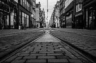 Leidsestraat (3 zwart-wit) van By Odessa DC thumbnail