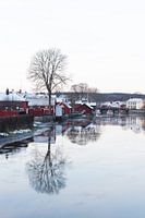 swedish winter
