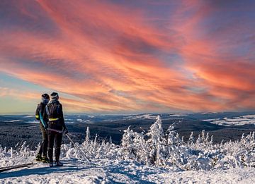 Uitzicht vanaf de Fichtelberg over het winterse Ertsgebergte in Saksen van Animaflora PicsStock