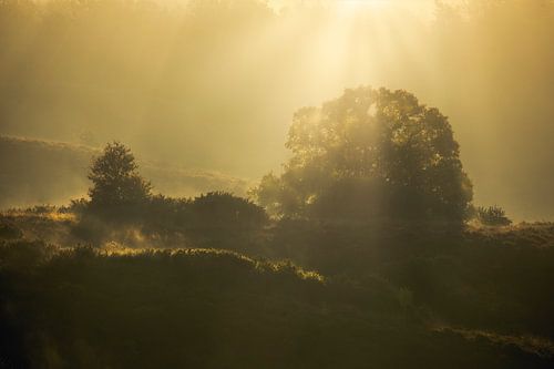 The Posbank by Ton Drijfhamer