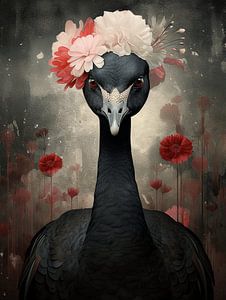 Black Swan 1