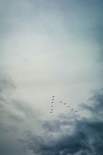 Vlucht naar het zuiden