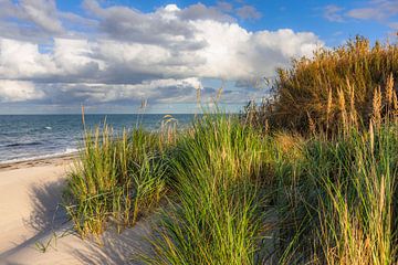 Plage du Nord l'après-midi sur Daniela Beyer