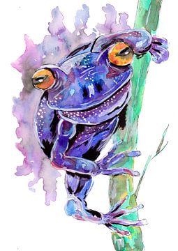 Grenouille violette sur Sebastian Grafmann