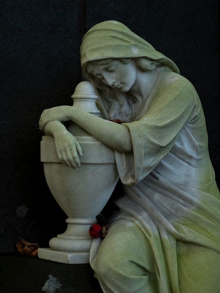 La perte par Rinke van Brenkelen