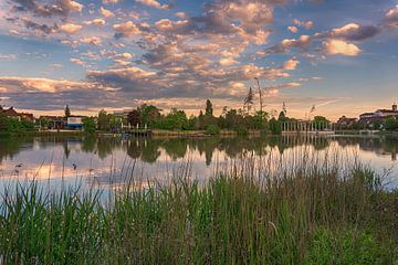 Het park van Böblingen in de ochtend van Andreas Marquardt