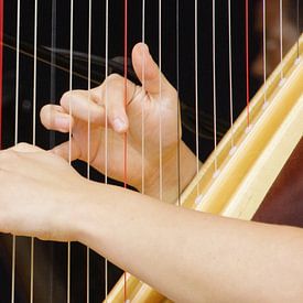 Harfe spielende Finger von Winfried Weel