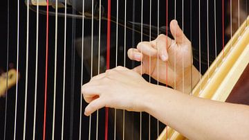 Fingers playing Harp by Winfried Weel