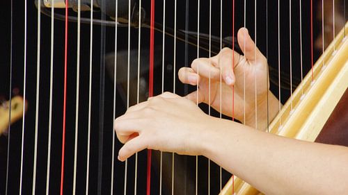 Fingers playing Harp