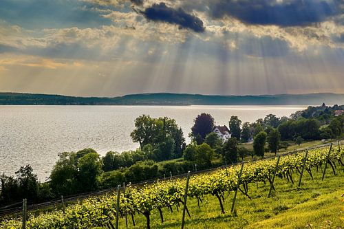 Evening atmosphere at Lake Constance