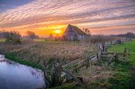Boet van Kikkert op Texel. van Justin Sinner Photography ( Fotograaf op Texel) thumbnail