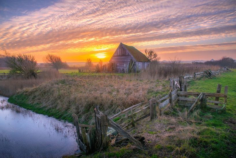 Boet van Kikkert op Texel. van Justin Sinner Photography ( Fotograaf op Texel)