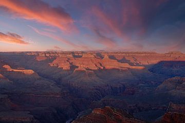 Echos der Sonne von Laura Krol