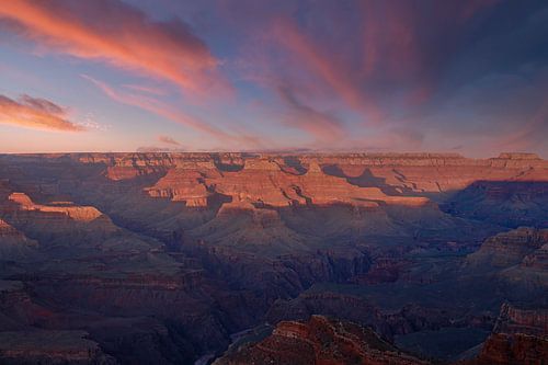 Echoes of the Sun van Laura Krol