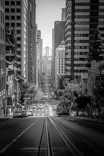 Sanfrancisco