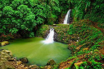 Uitzicht op de Seven Sisters watervallen op Grenada van Andreas Völkel