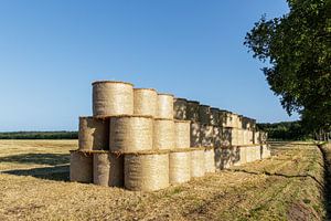 Boerenland