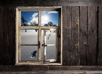 Fensterblick von Jürgen Wiesler