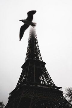 Vogels van Eiffel I van Studio Nieuwland