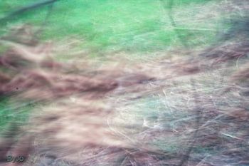 Serie "by the river"