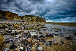 Rock Coast