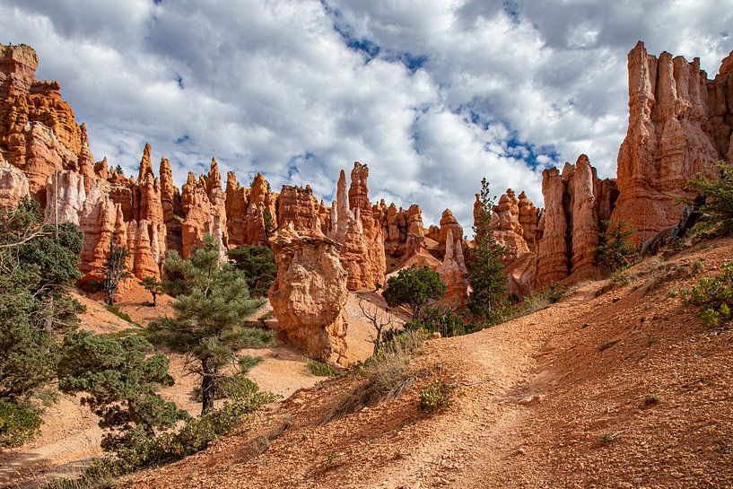 Bryce Canyon National Park, Utah USA by Gert Hilbink