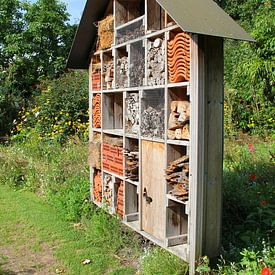 Insect hotel . by Jose Lok