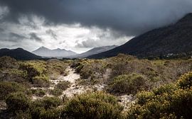 Stormy Busch by Thomas Froemmel