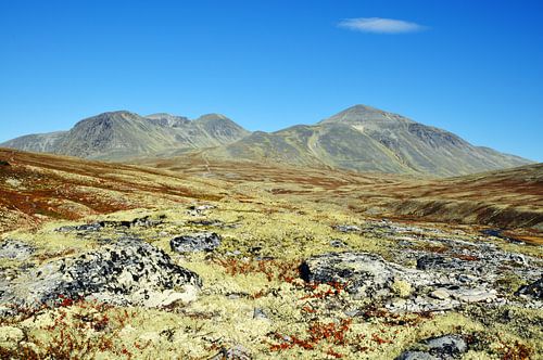Parc national de Rondane