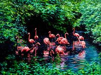 Flamingo's in een rustige lagune