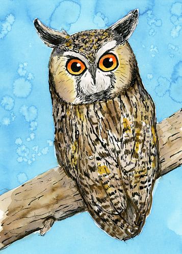 Een ingekleurde pentekening van een ransuil