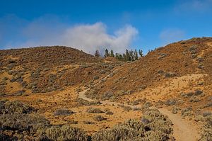 Wanderweg durch die Vulkanlandschaft des Nationalparks Teide, Teneriffa