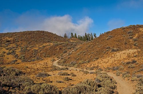 Wandelpad door het vulkanische landschap van Teide nationaal park, Tenerife