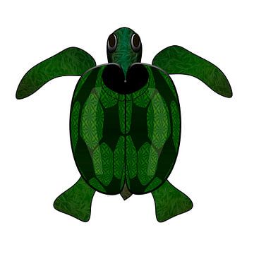 Zeeschildpad van Grüntyers .