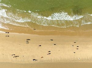 Golven die het strand raken aan de Noordzeekust in Noord-Holland van Sjoerd van der Wal Fotografie