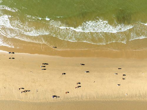 Golven die het strand raken aan de Noordzeekust in Noord-Holland