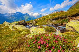 Wunderschönes Almgebiet in den Hohen Tauern von Christa Kramer