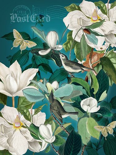 De vogels in de witte magnolia