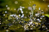 Living Water