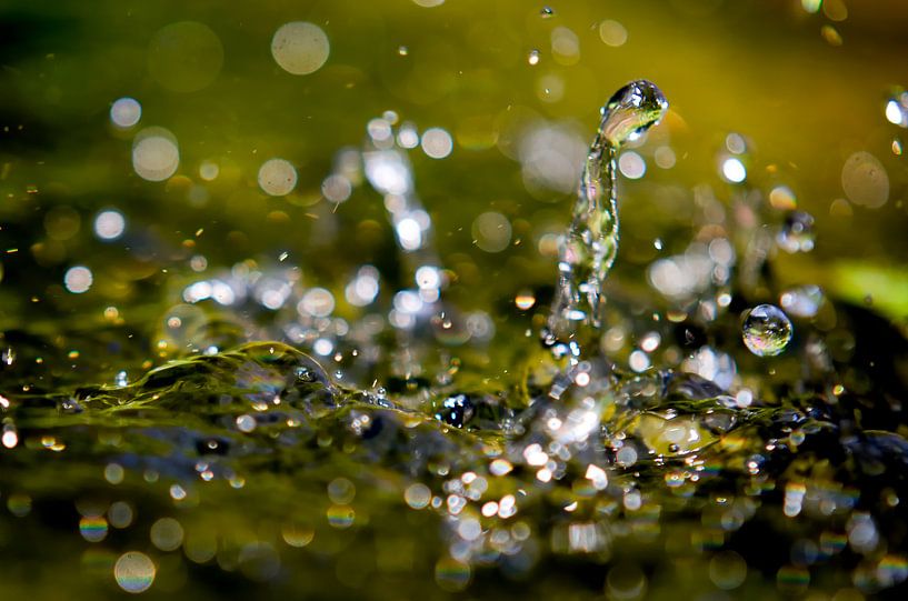 Living Water van Hans van Gurp