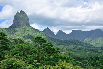 Mooiste Polynesische eiland van Frank's Awesome Travels