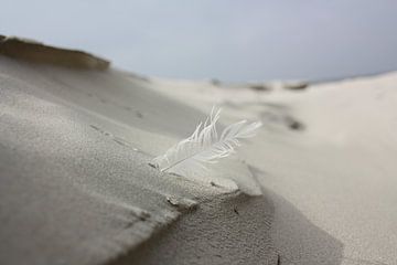 Fangen Sie den Wind von Wim Riksen