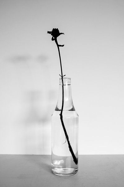 Stilleben 02 von Mia Art and Photography
