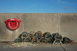 Visfuiken op de pier van Bo Scheeringa Photography