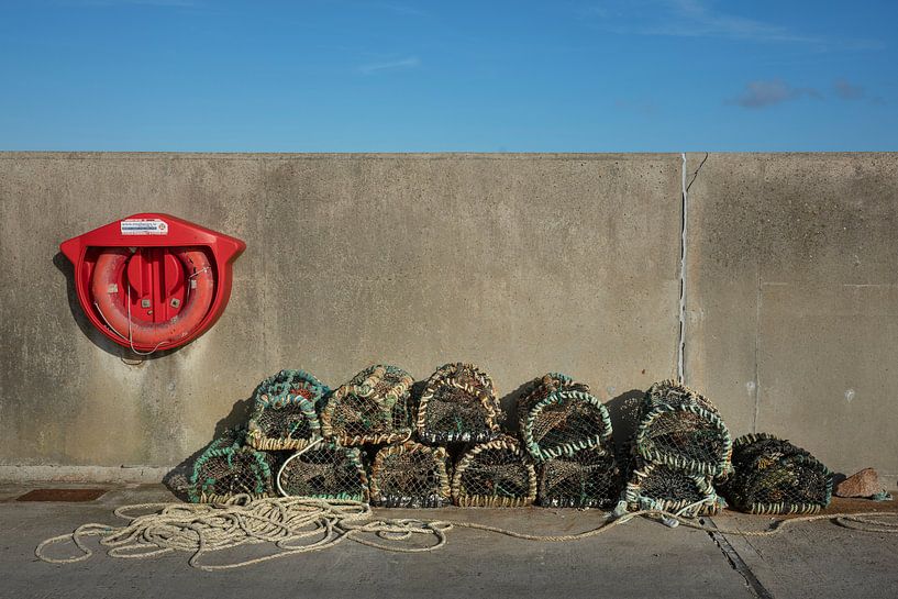 Visfuiken op de pier van Bo Scheeringa Photography