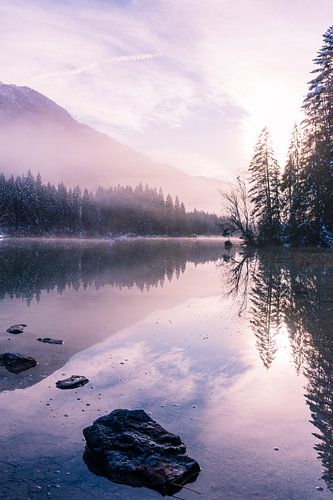 Where Water Fairies dwell II